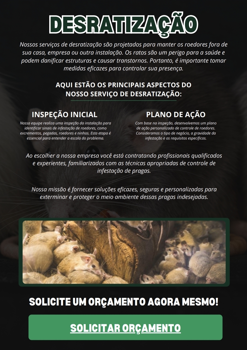 C3 Dedetização e serviço portfolio 5