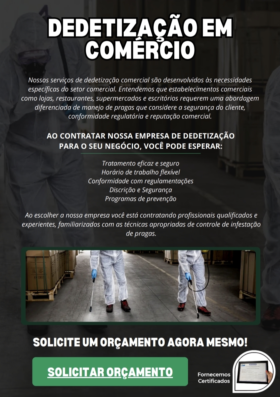C3 Dedetização e serviço portfolio 10
