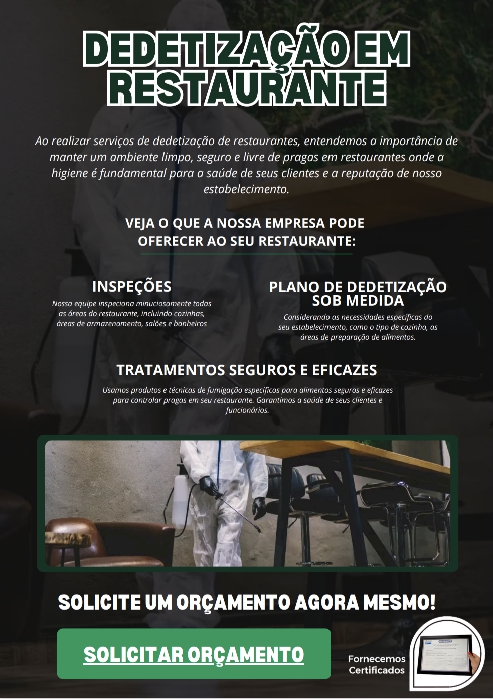 C3 Dedetização e serviço portfolio 11