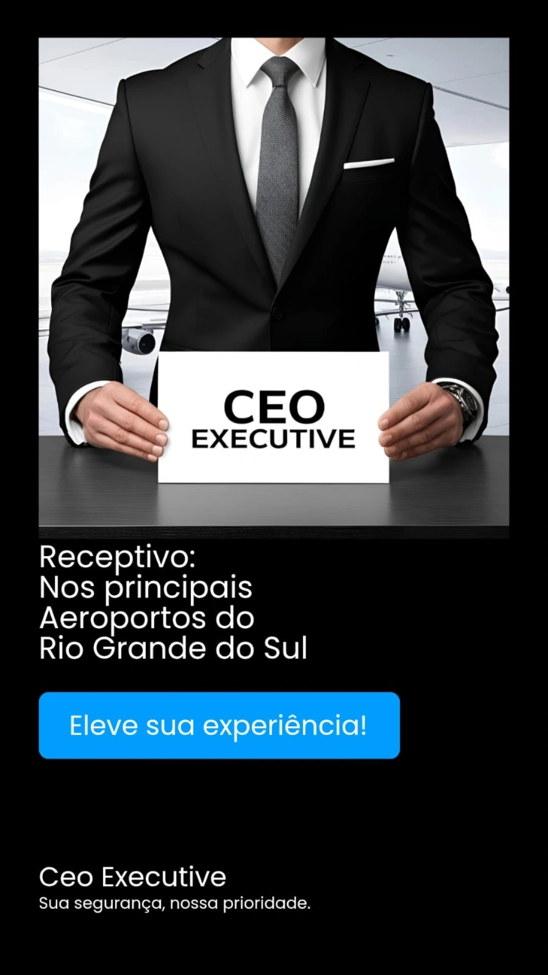 Ceo Executive portfolio 7
