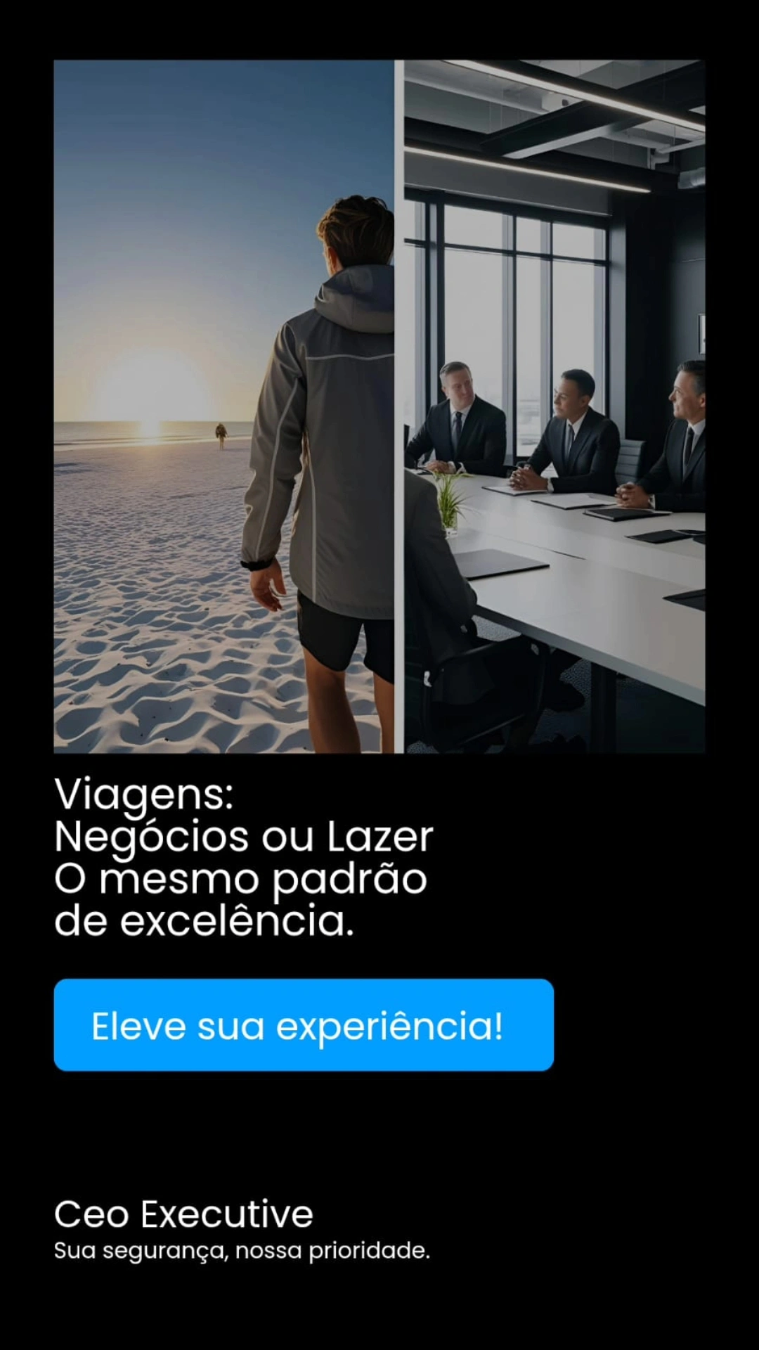 Ceo Executive portfolio 6