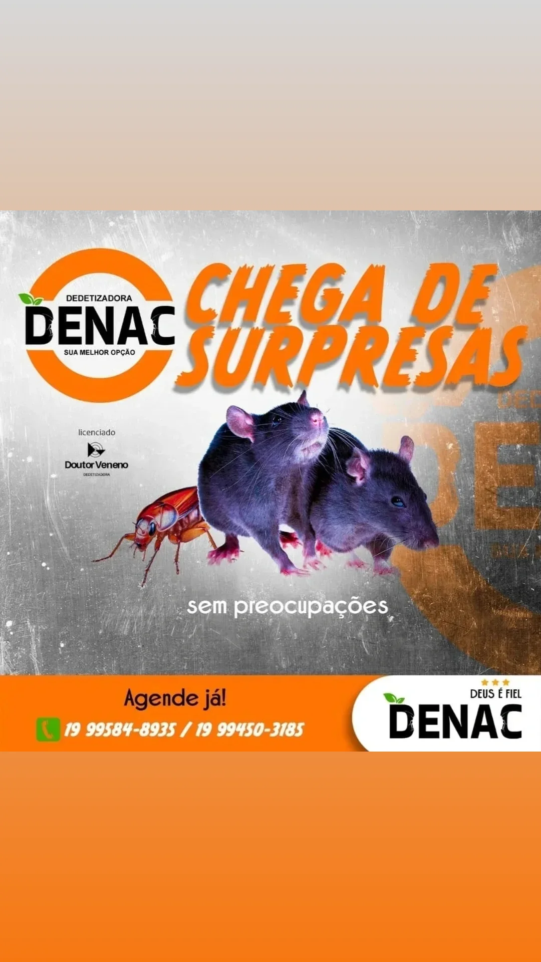 Denac Dedetizadora portfolio 3