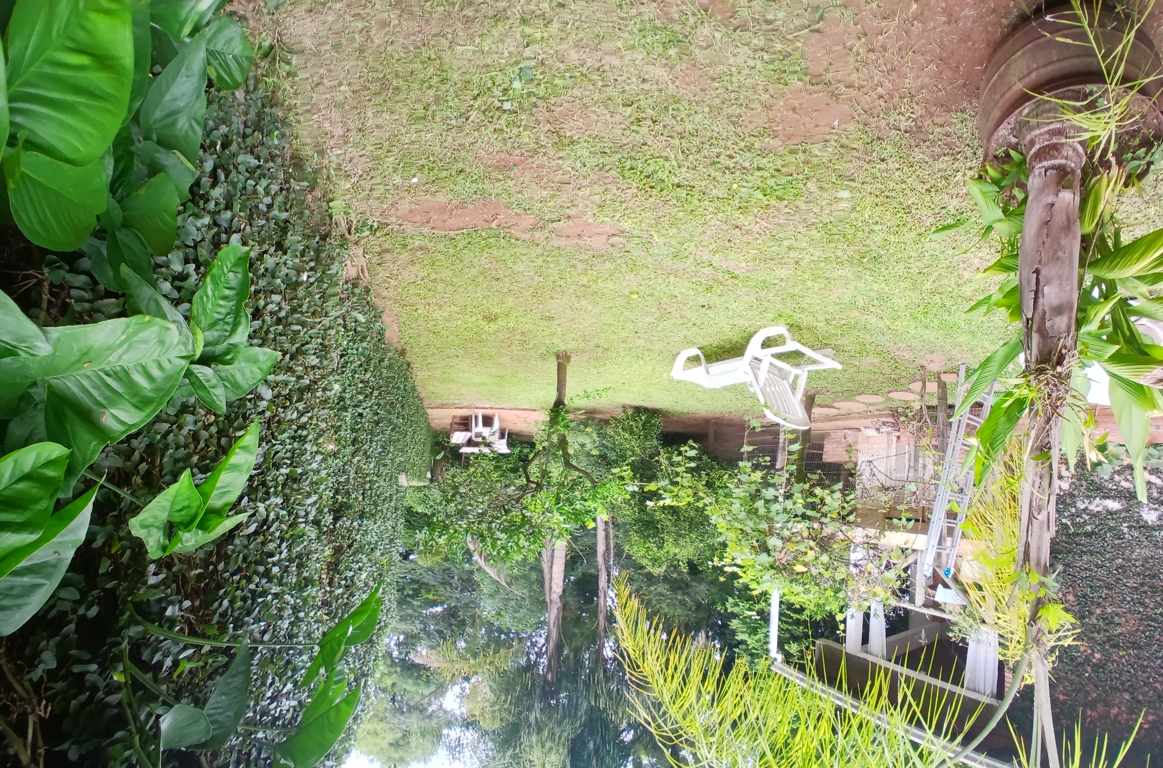 AL Jardinagem portfolio 7