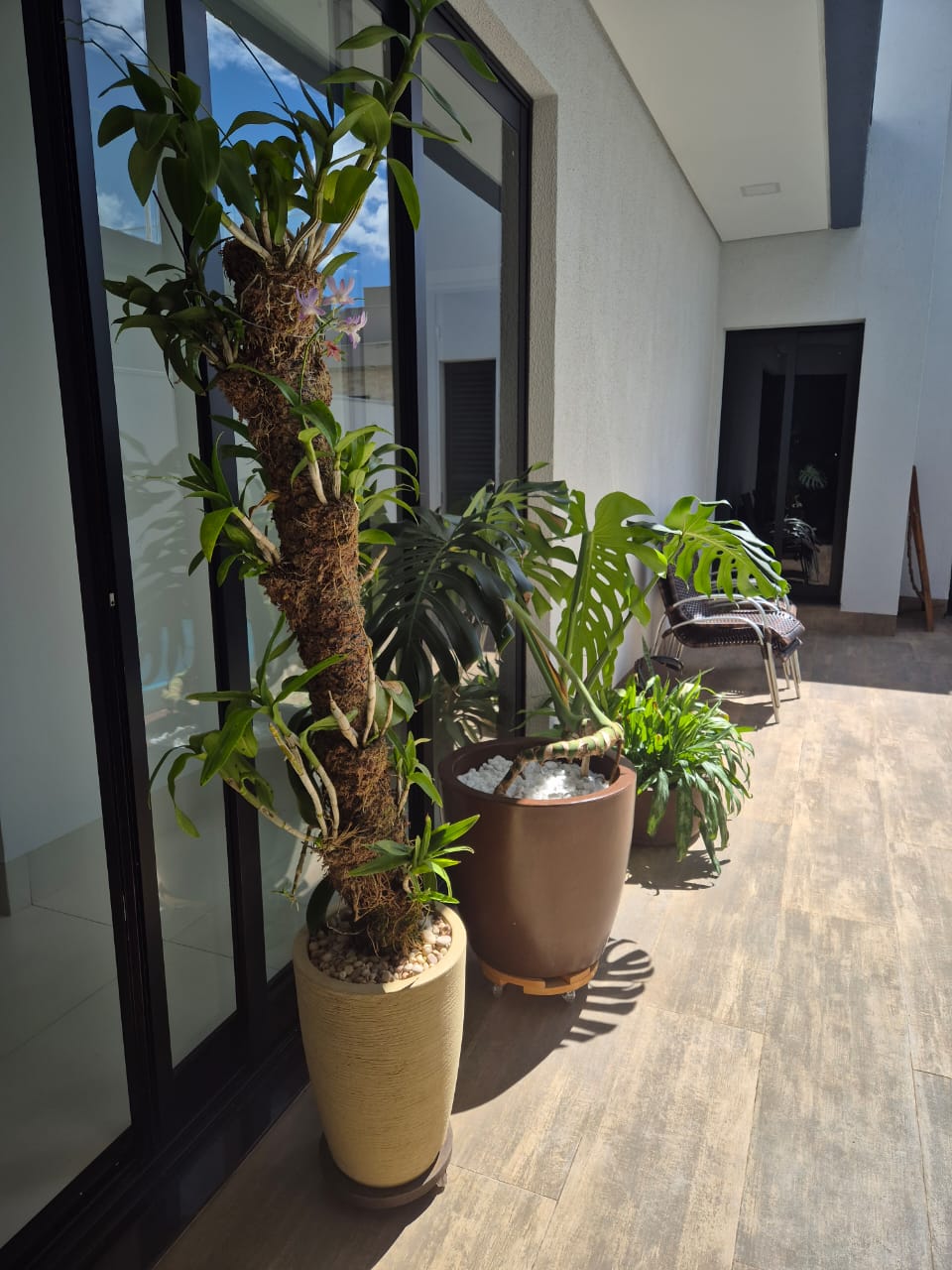 Lucas jardinagem portfolio 22