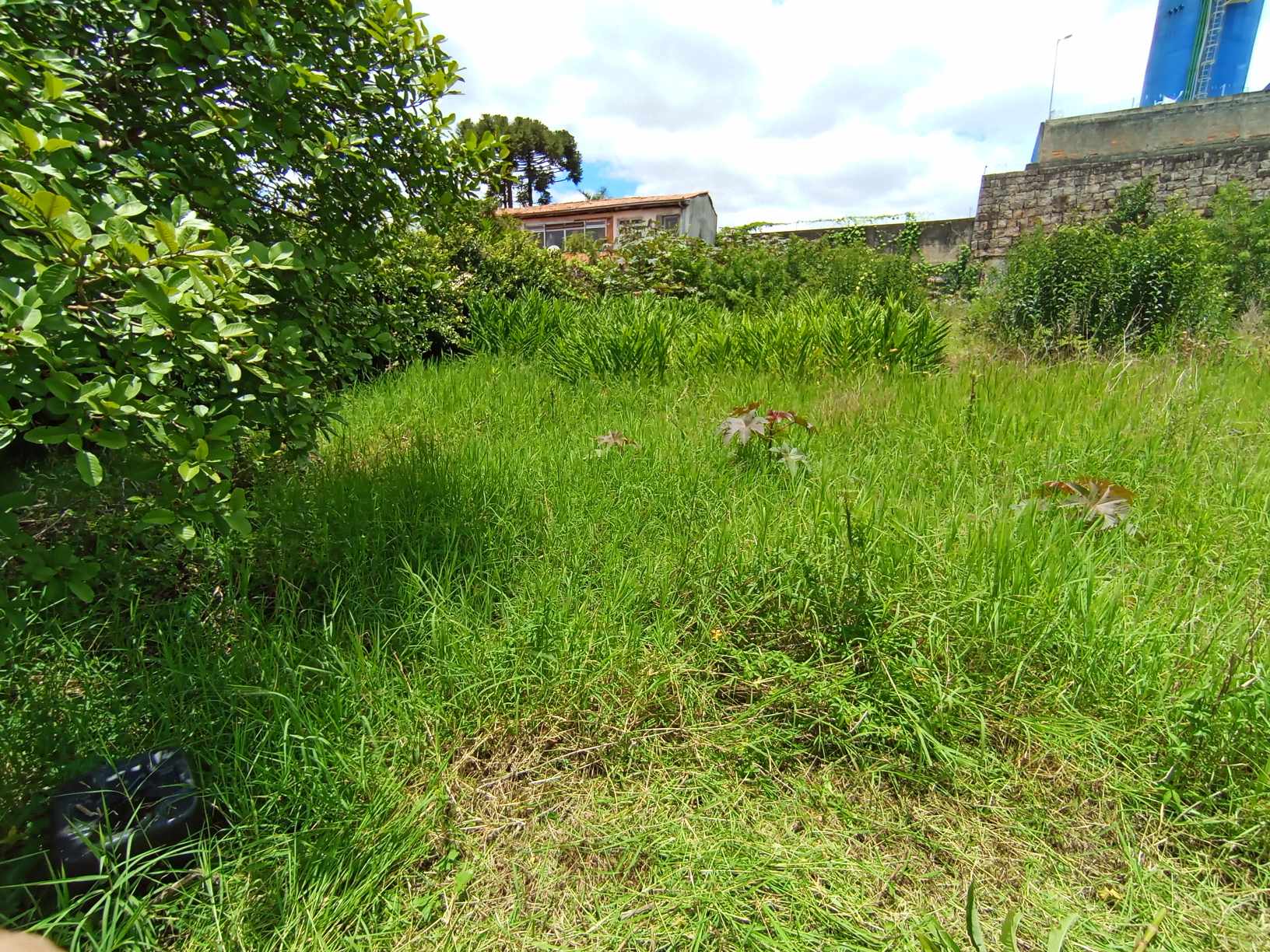 Excelência jardinagem e paisagismo portfolio 3