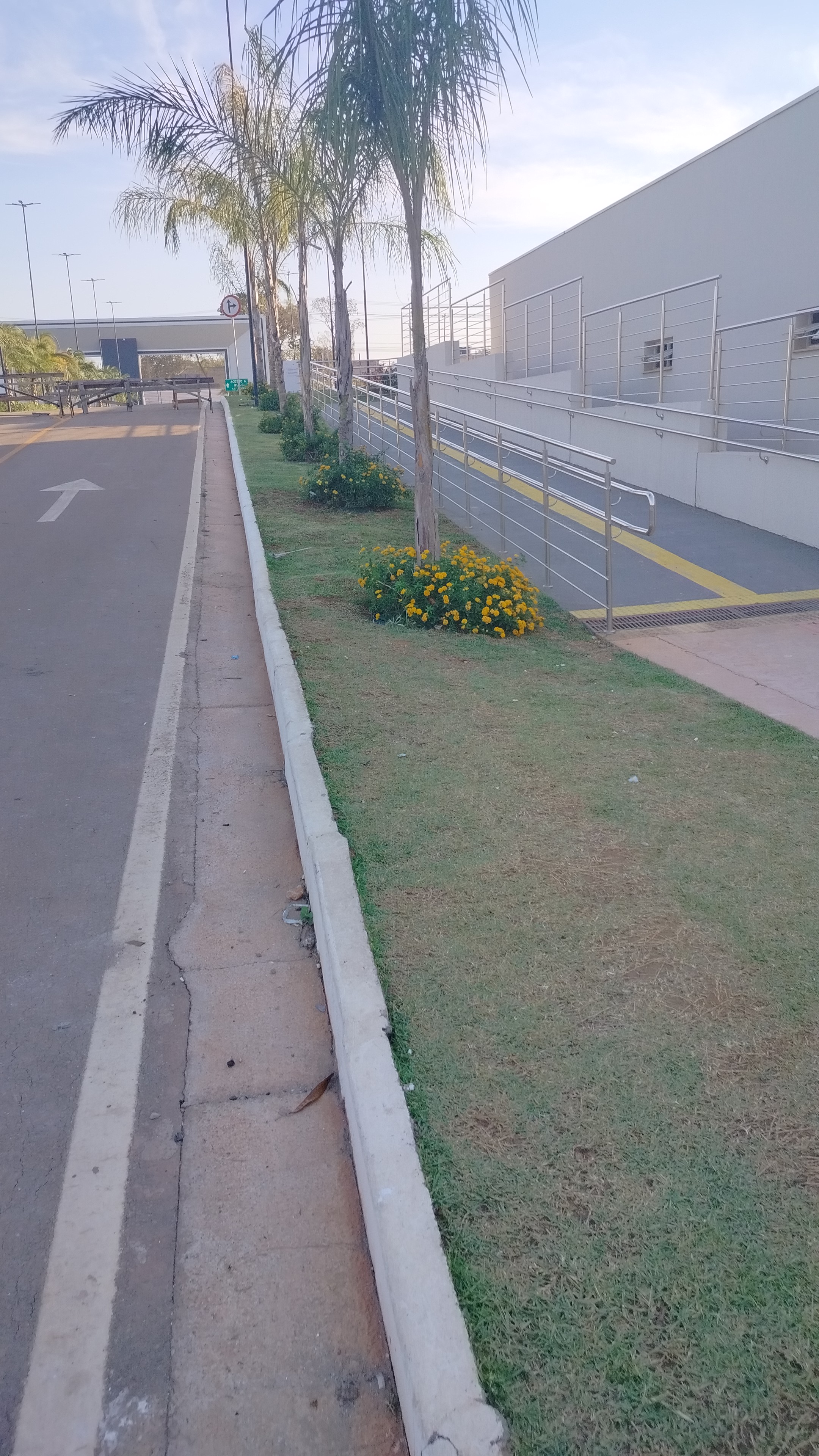 Lucas jardinagem portfolio 8