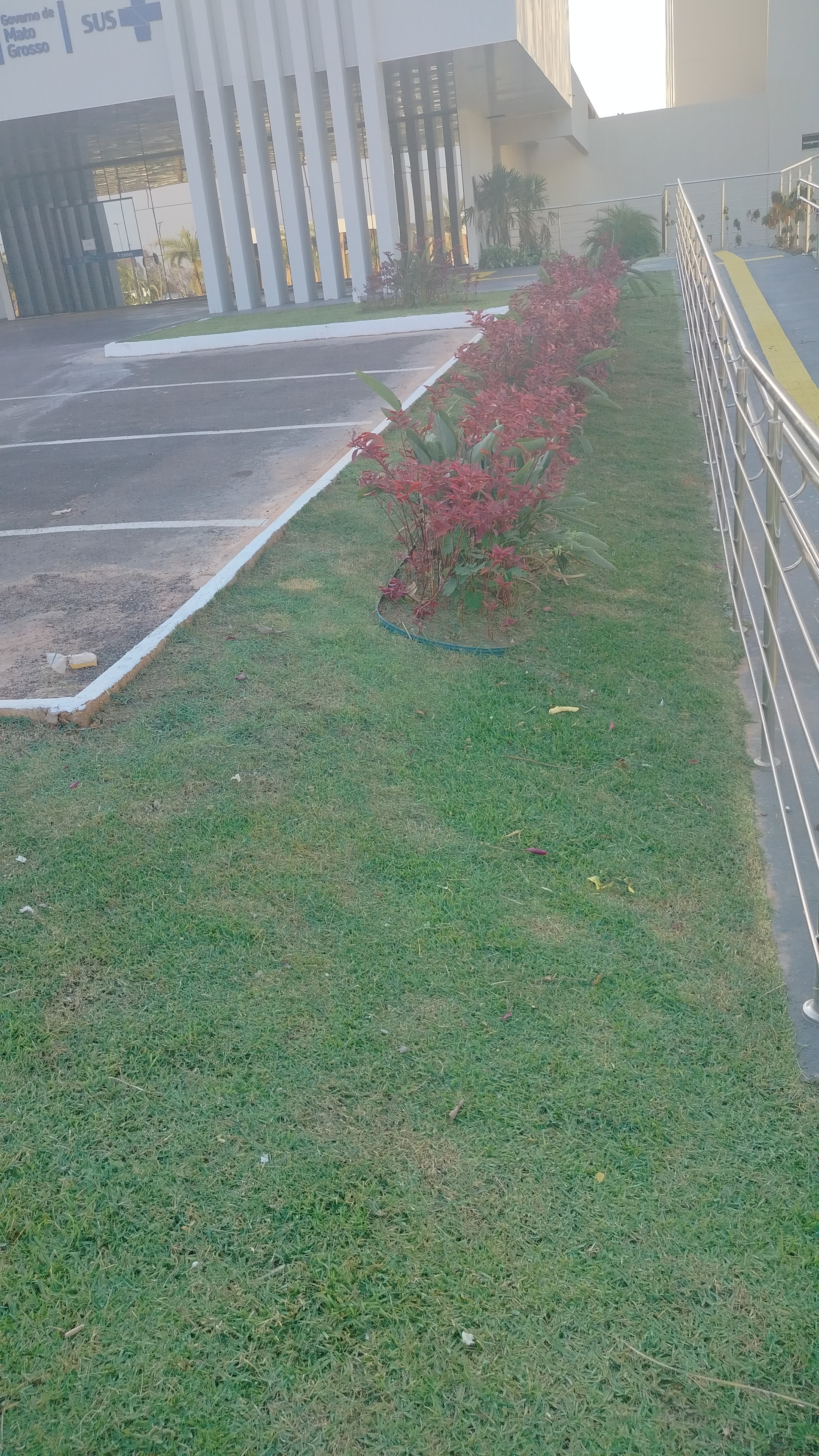 Lucas jardinagem portfolio 7