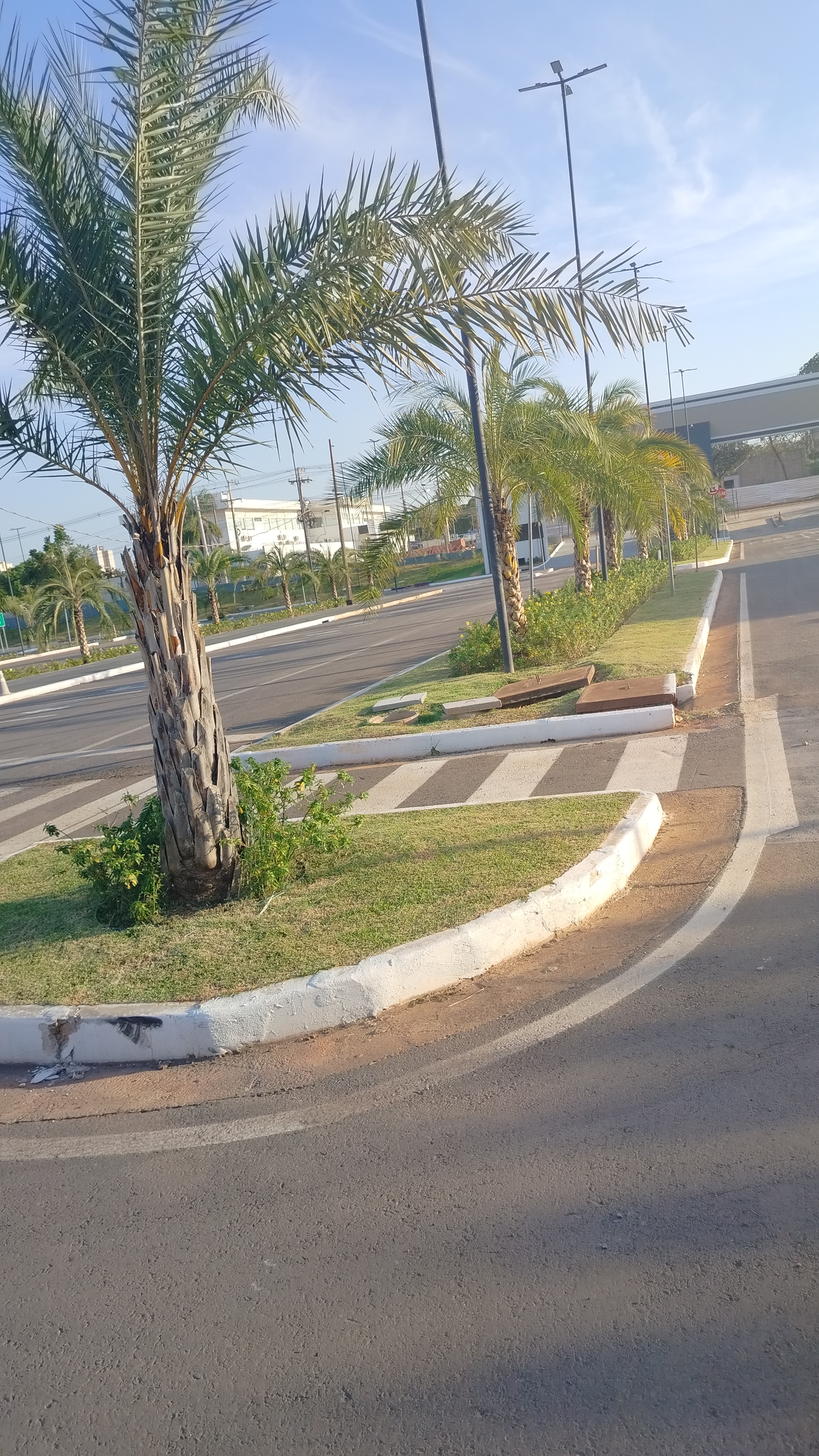 Lucas jardinagem portfolio 6