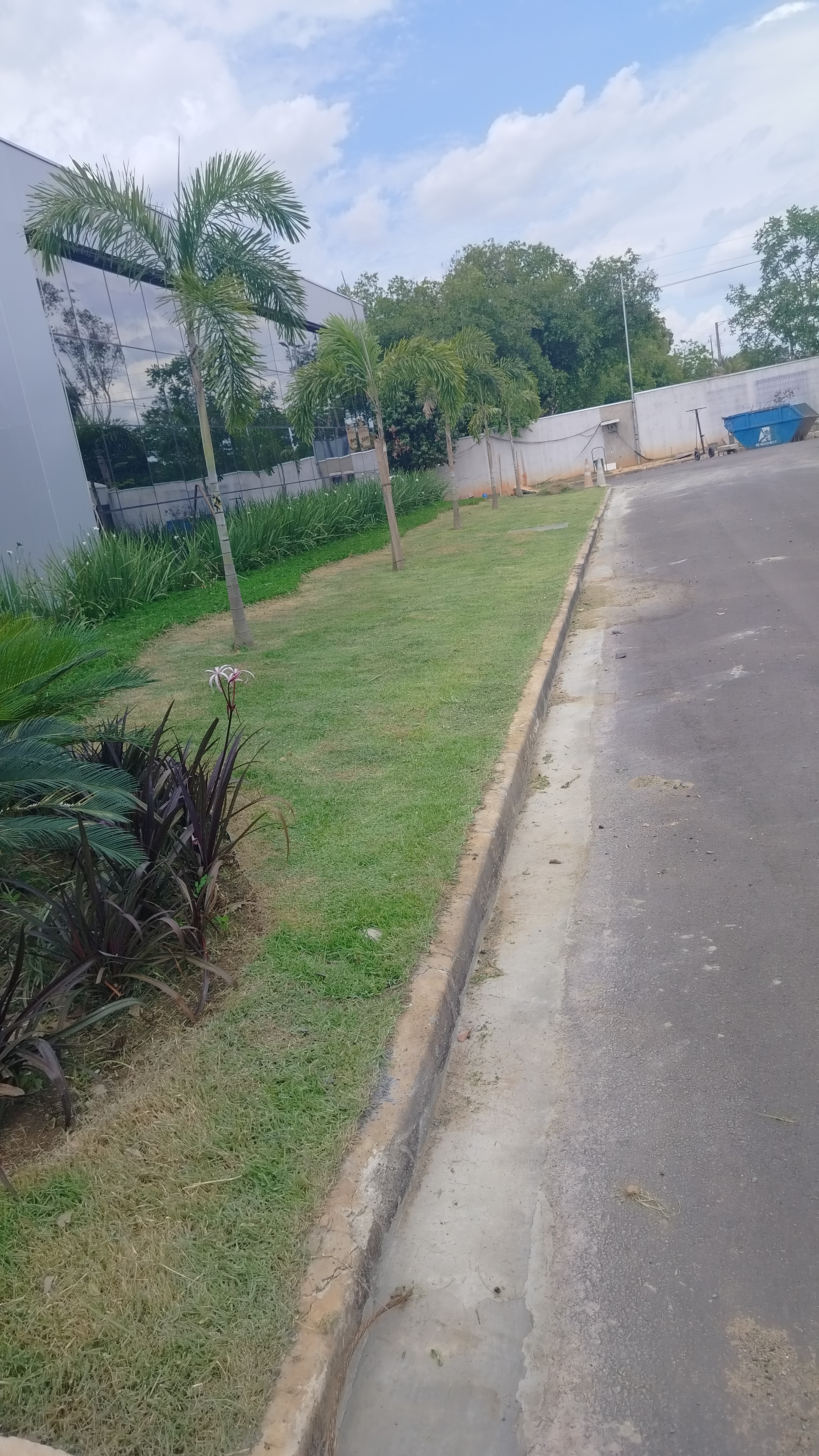 Lucas jardinagem portfolio 4
