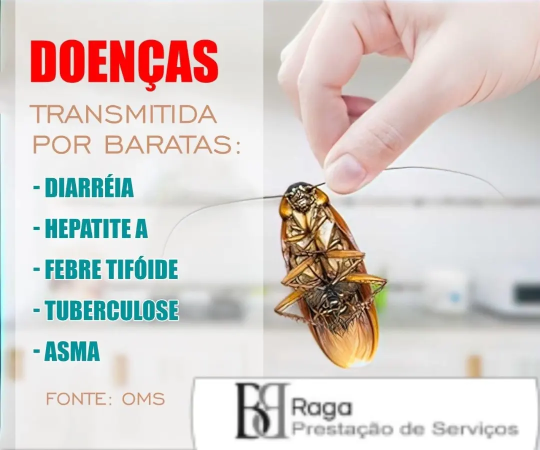 Braga portfolio 23