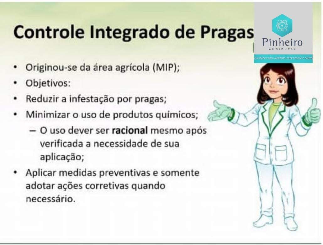 Braga portfolio 15