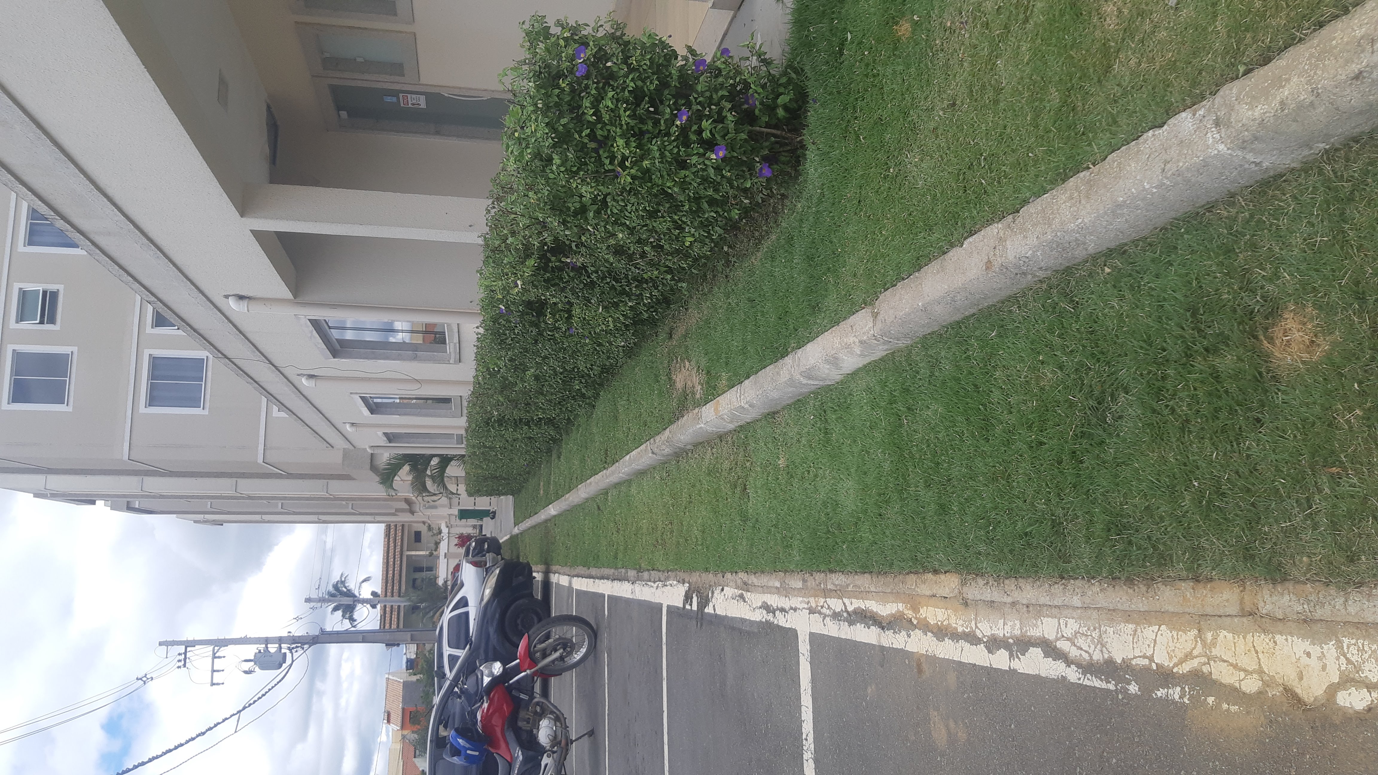 Kotai Jardinagem portfolio 14