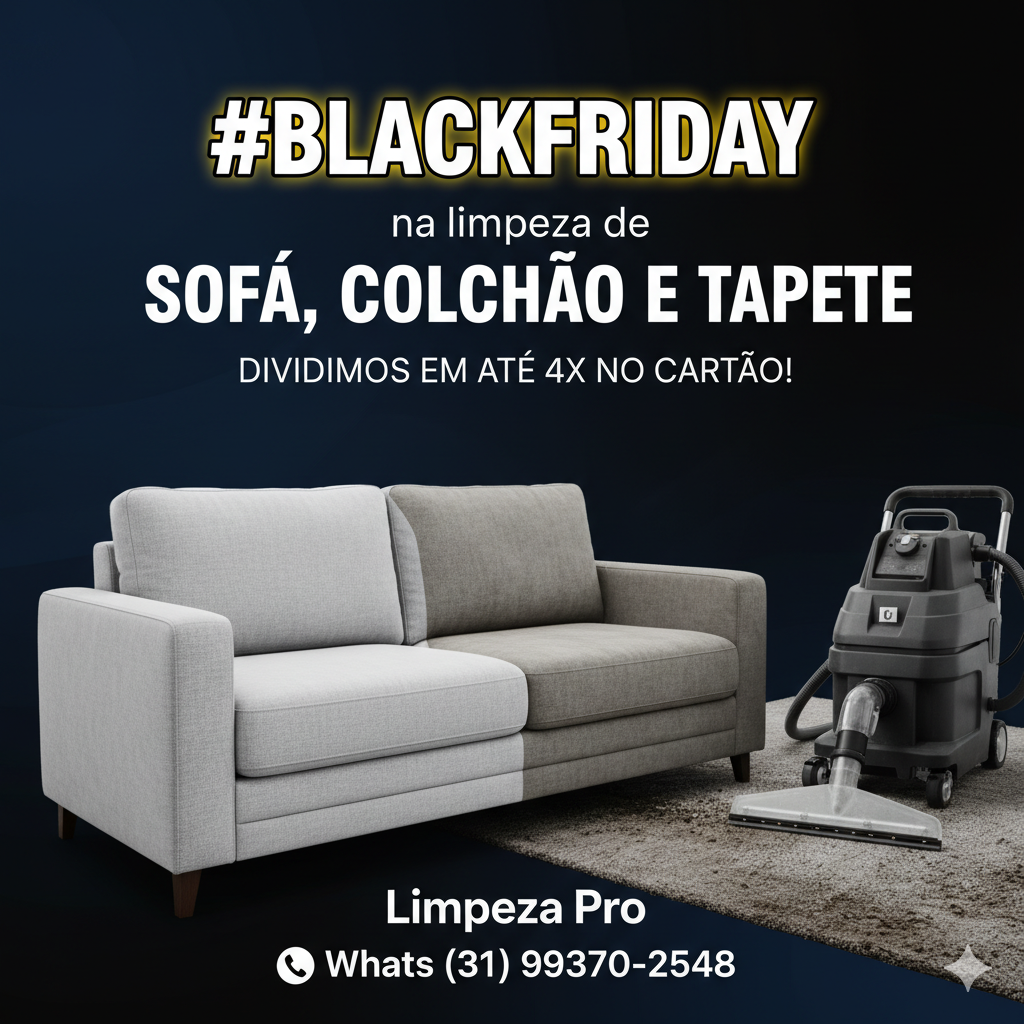 Limpeza Pro |limpeza de estofados em Betim portfolio 16
