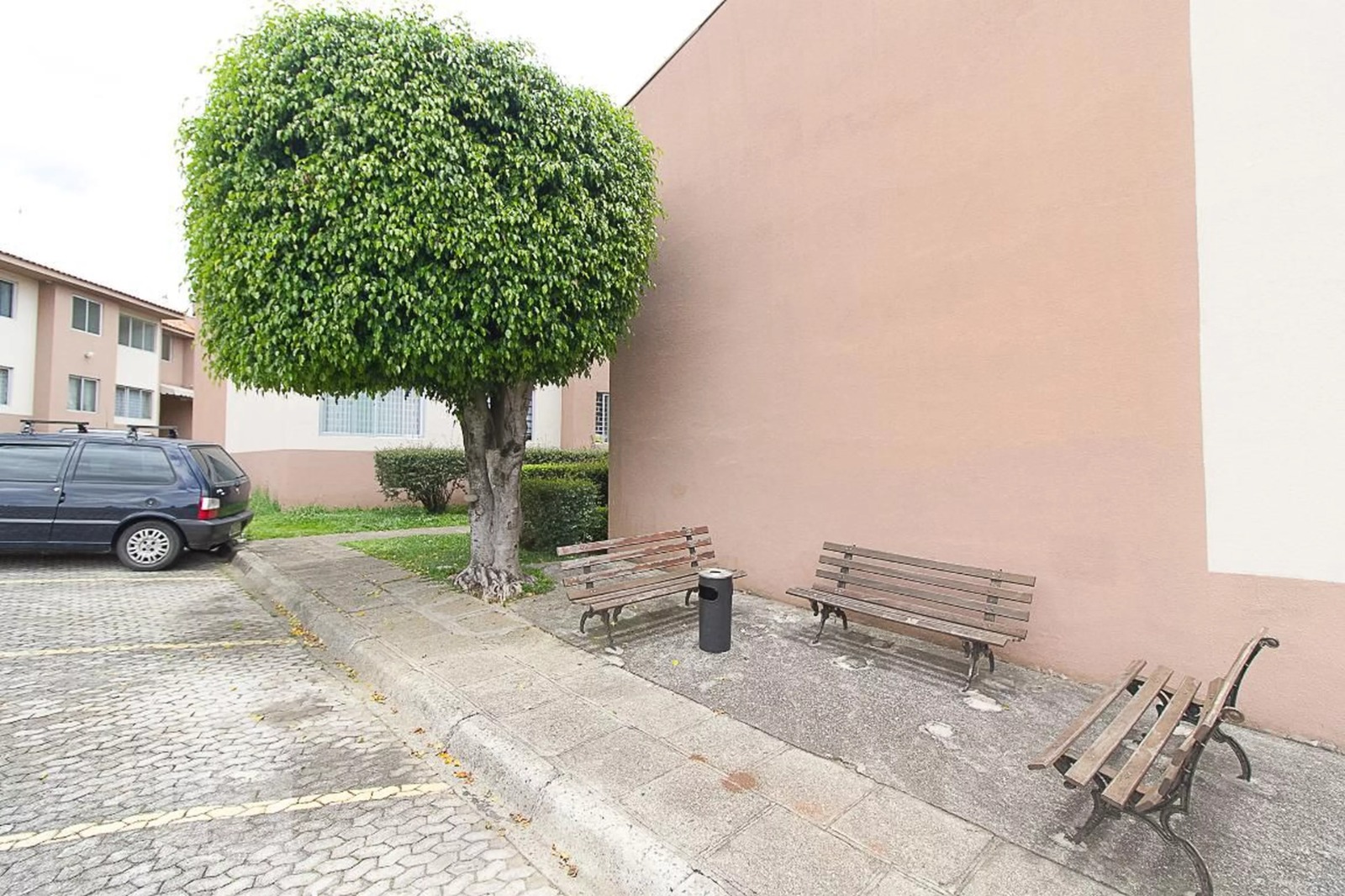 Kotai Jardinagem portfolio 7