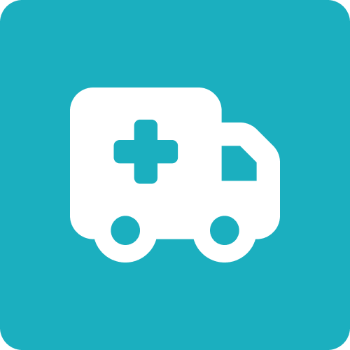 serviço de transporte especial