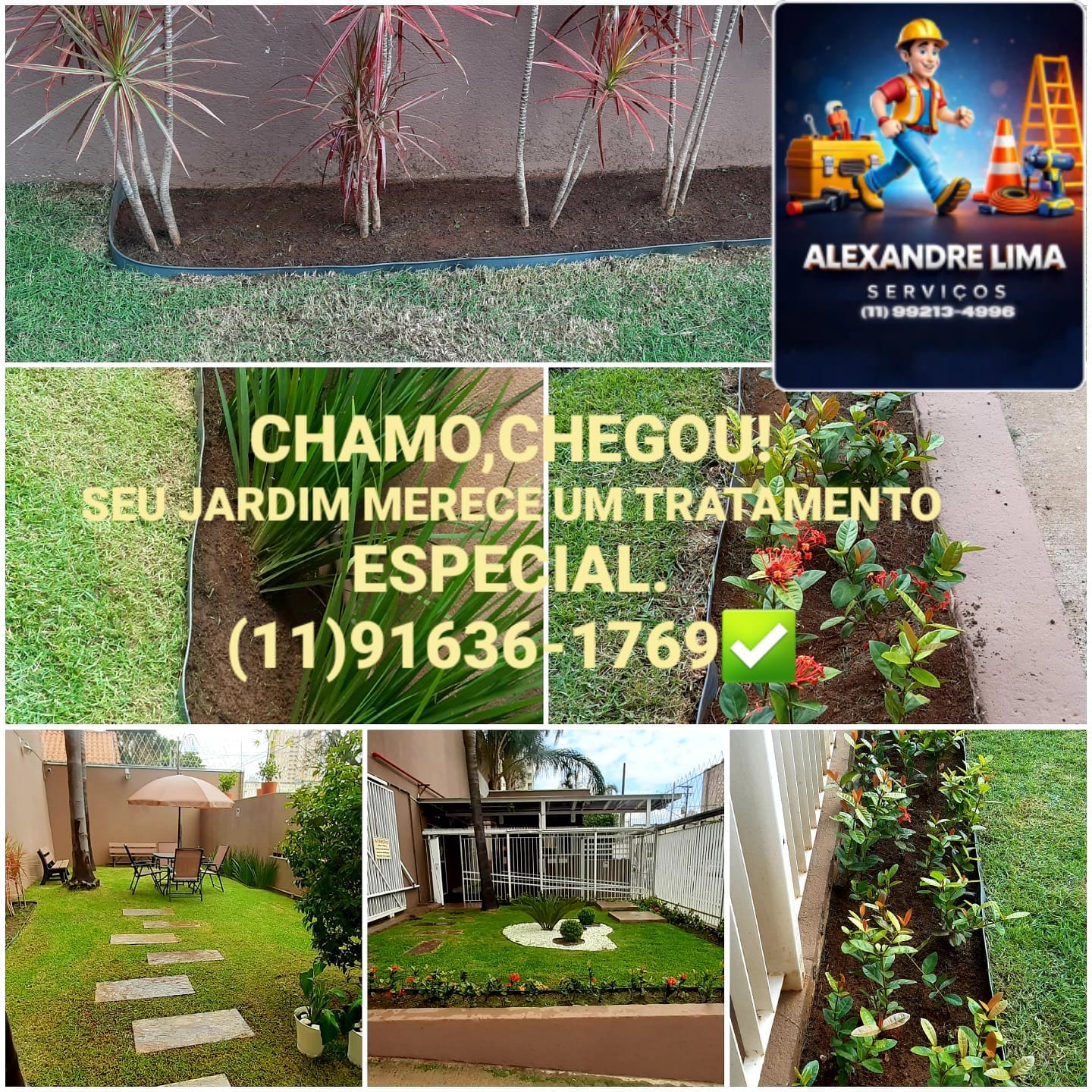 ALEXANDRE DA SILVA LIMA portfolio 81