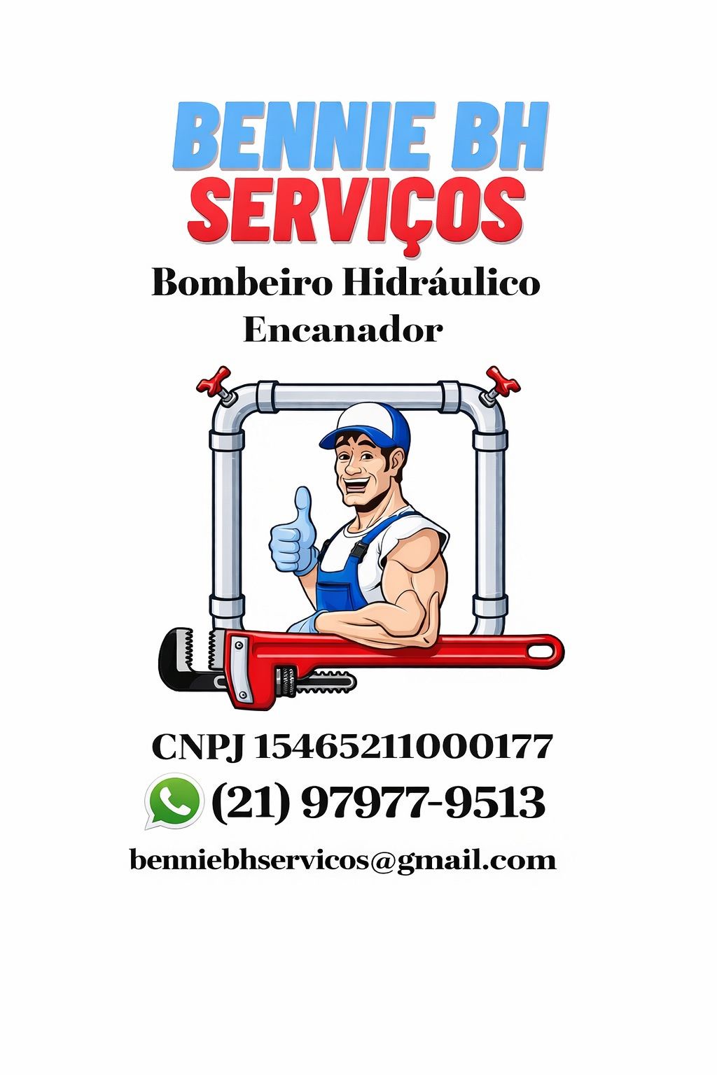 Bennie bh serviços portfolio 1