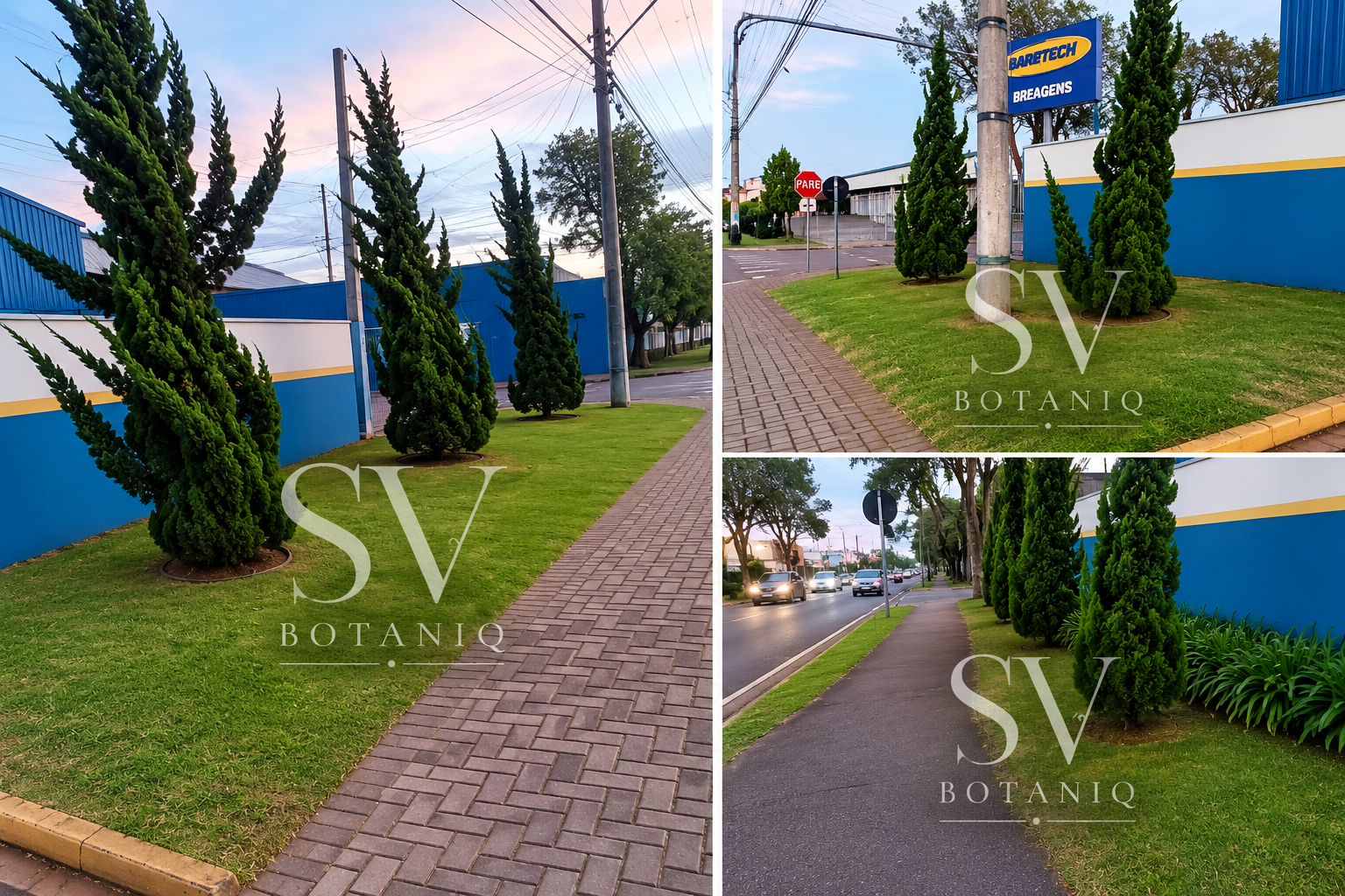 SV BOTANIQ portfolio 2