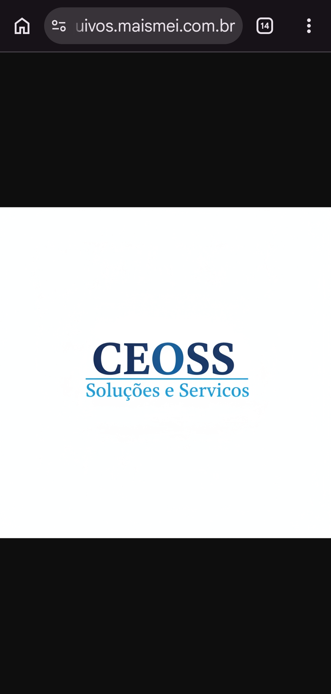 CEOSS portfolio 2