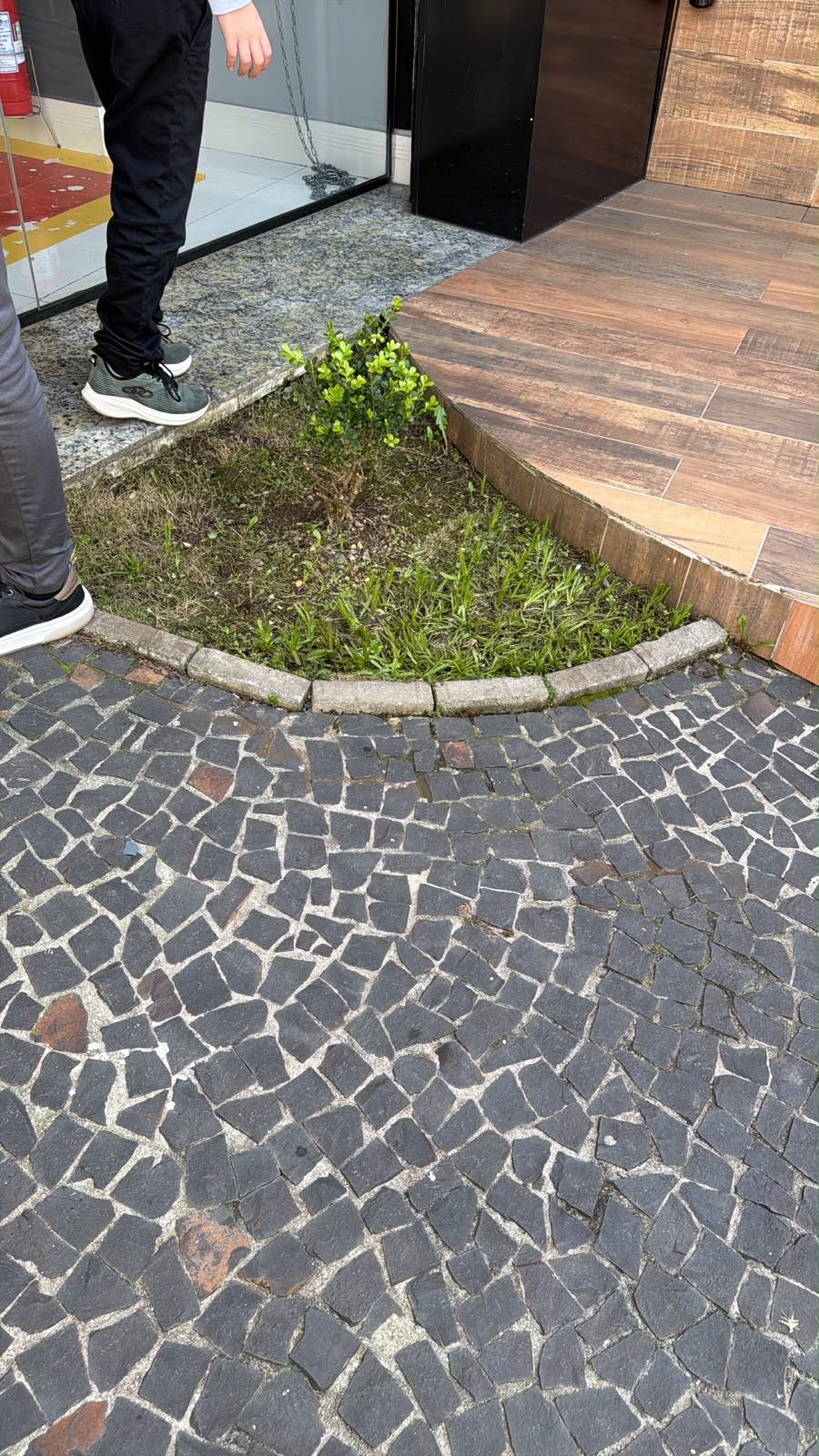 Wajardinagem portfolio 5