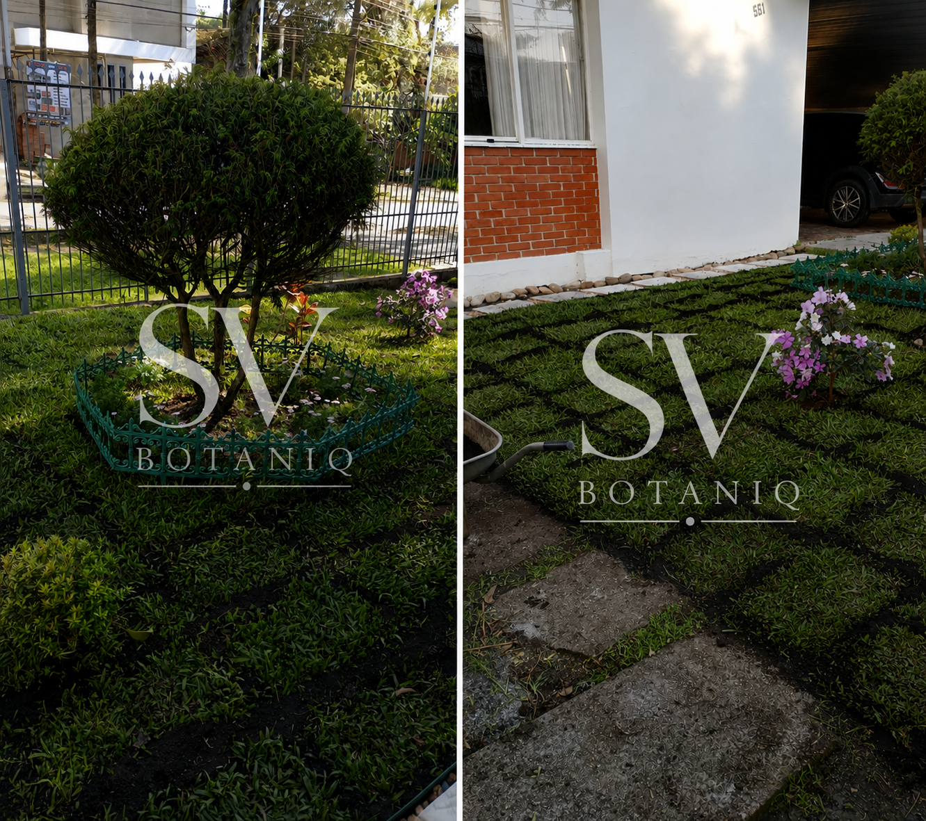 SV BOTANIQ portfolio 4