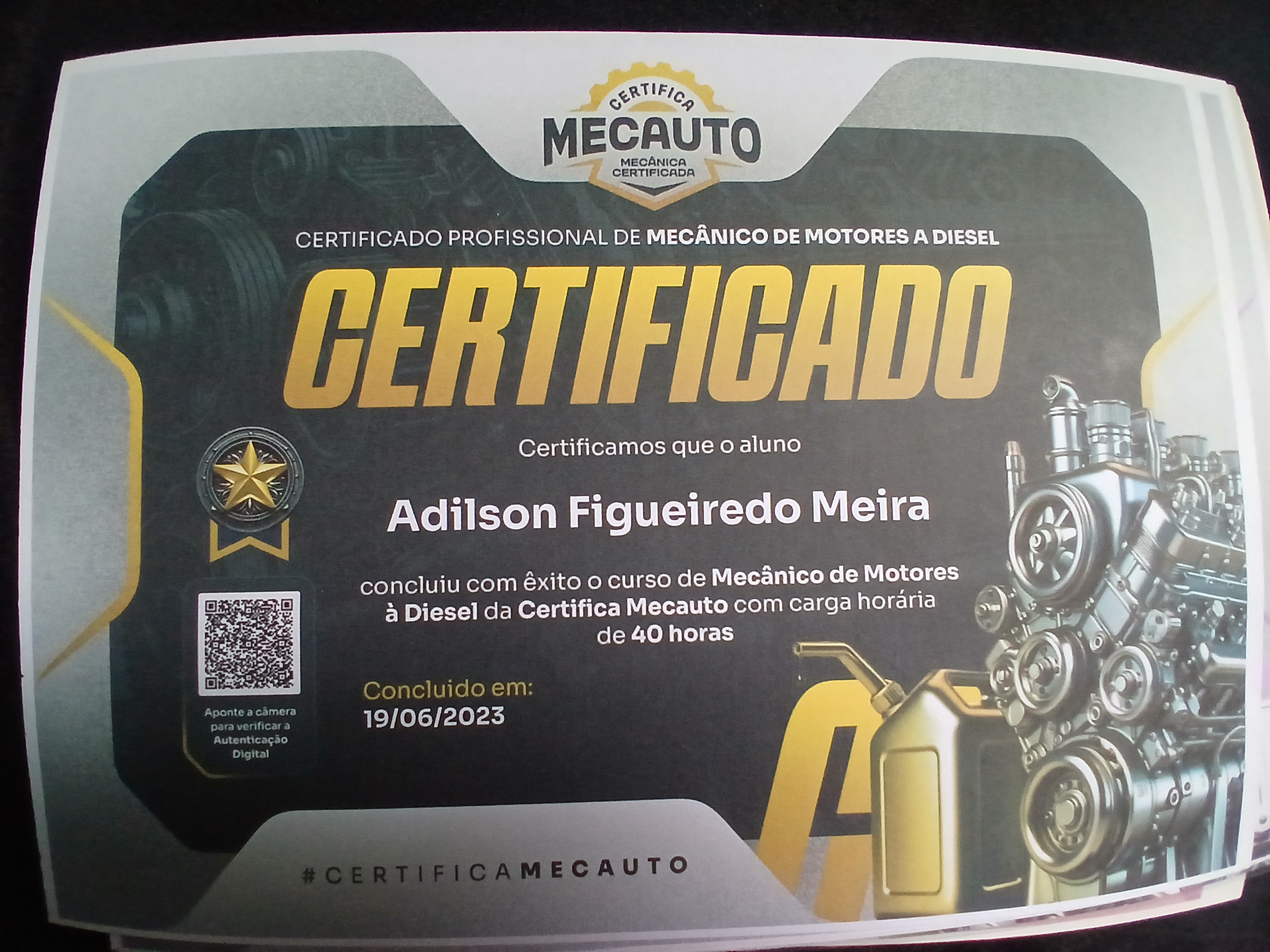 AFM TRUST & SHIELD portfolio 6