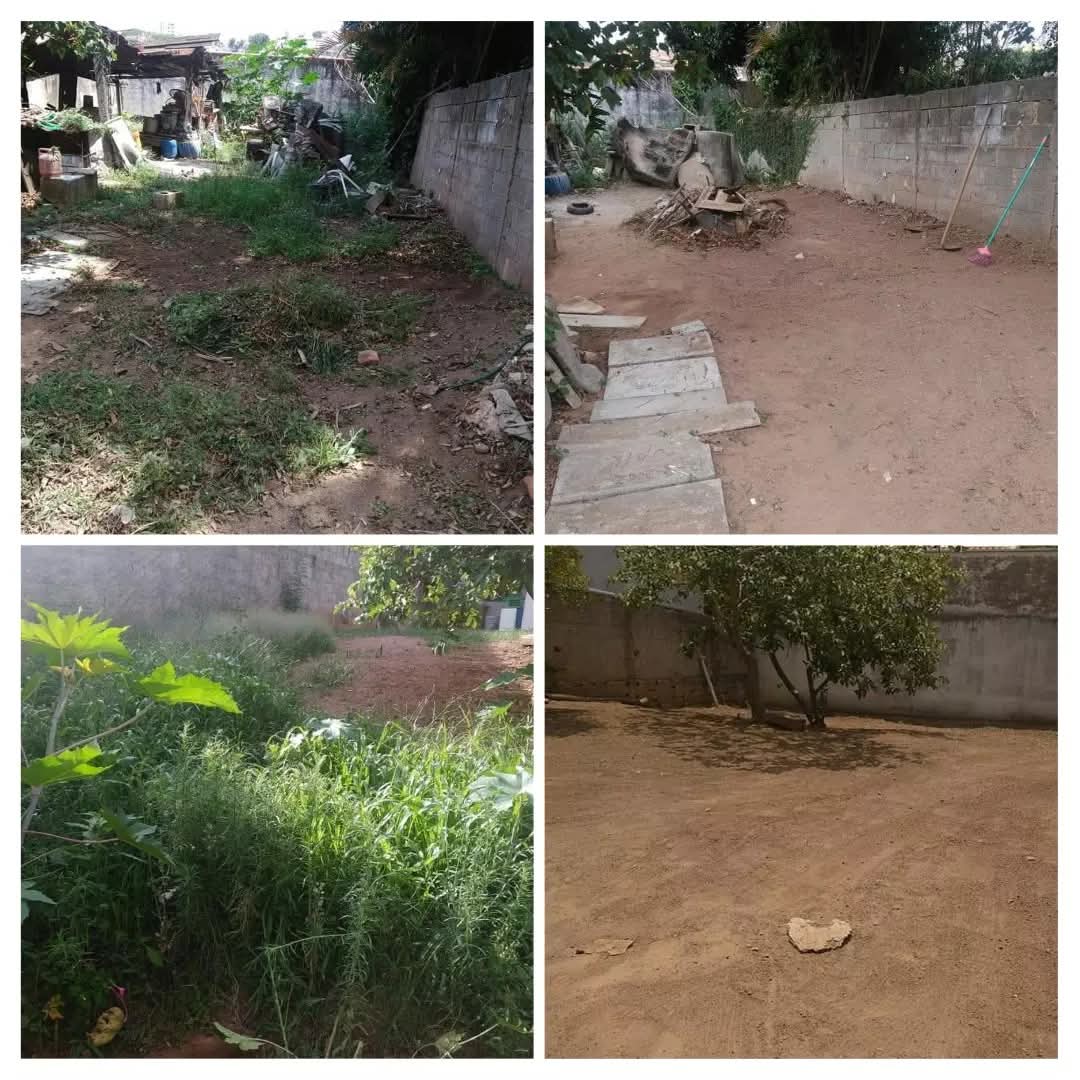 Ltegservicos jardinagem portfolio 5
