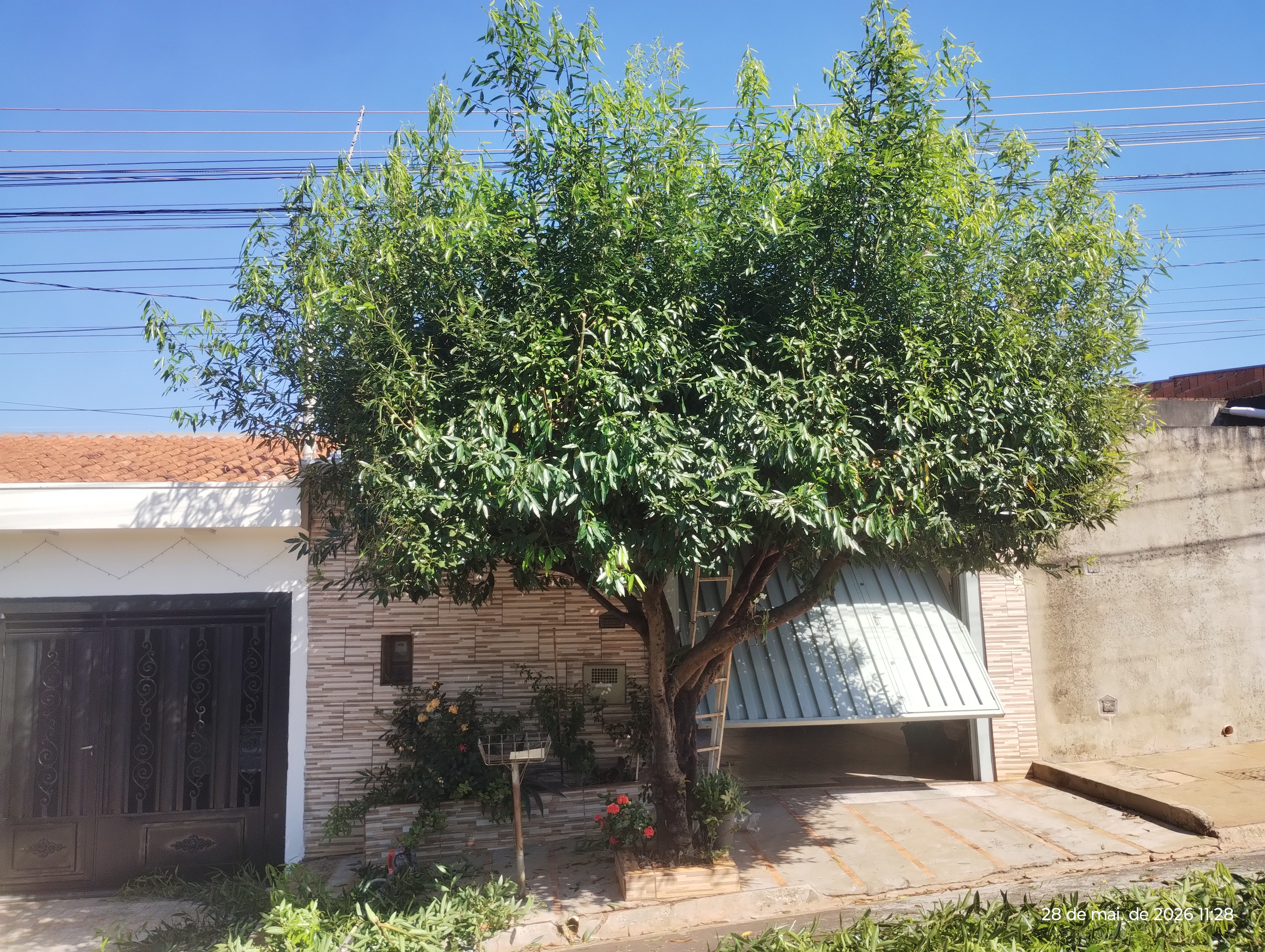 JE Jardinagem portfolio 2